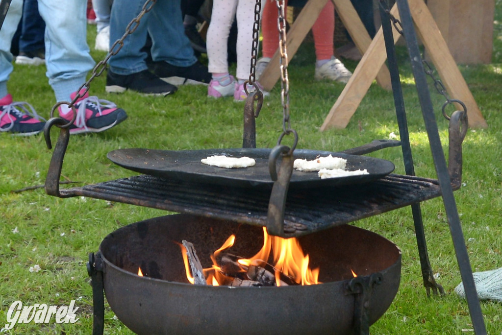 Tarnowskie Góry. Wioska wikingów w bibliotece
