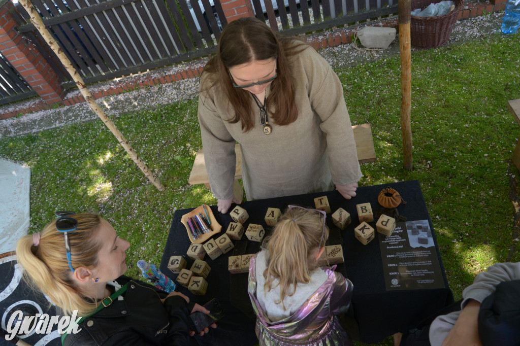 Tarnowskie Góry. Wioska wikingów w bibliotece