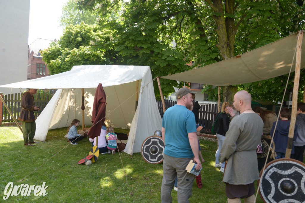 Tarnowskie Góry. Wioska wikingów w bibliotece