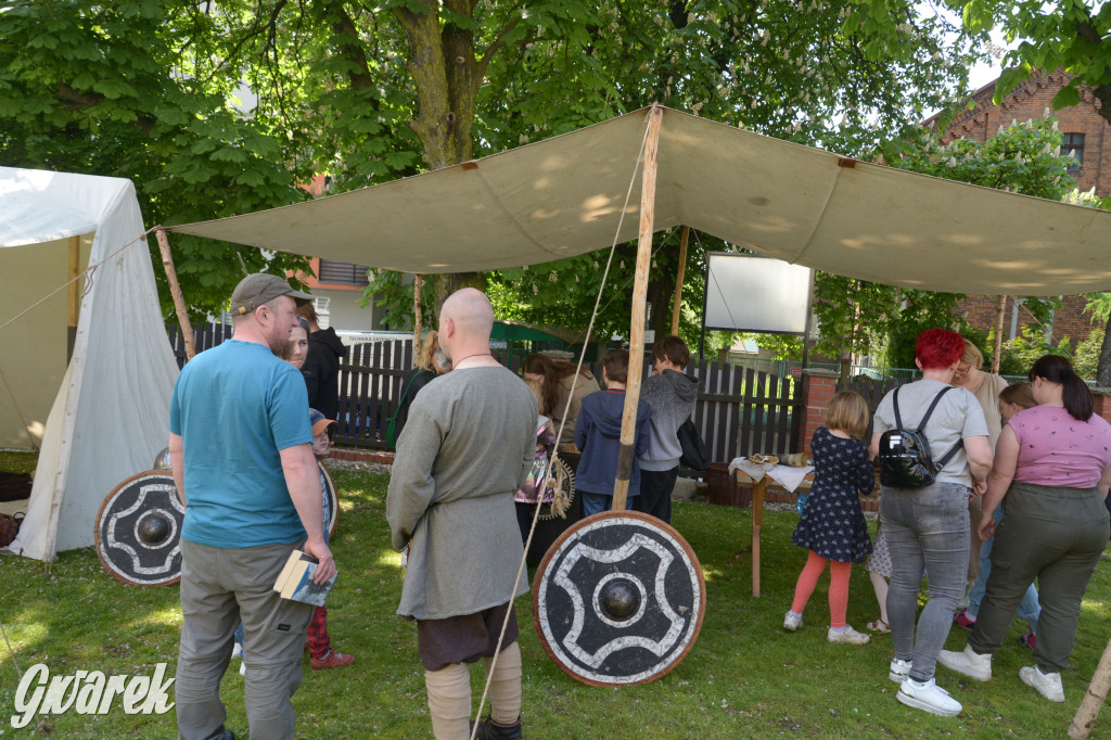 Tarnowskie Góry. Wioska wikingów w bibliotece