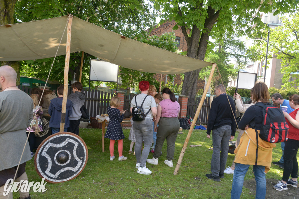 Tarnowskie Góry. Wioska wikingów w bibliotece