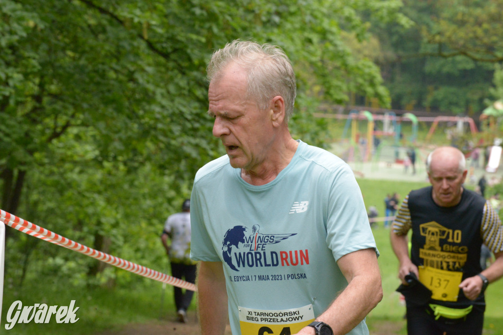 Tarnowskie Góry. XI Tarnogórski Bieg Przełajowy (cz. 2)