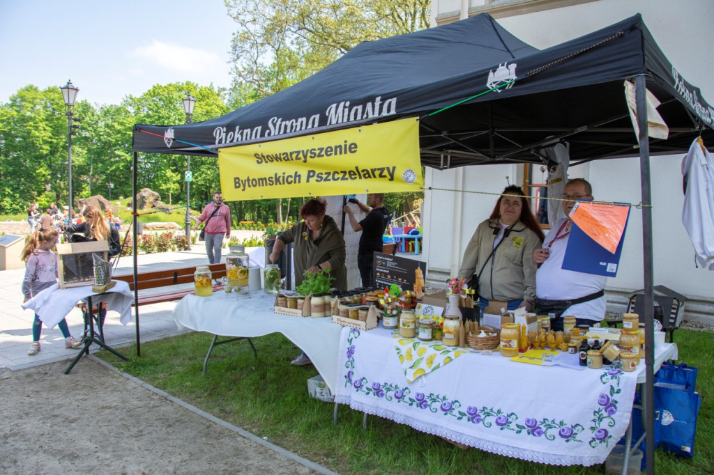 Światowy Dzień Pszczoły. Zwiedzali pasiekę, budowali ule