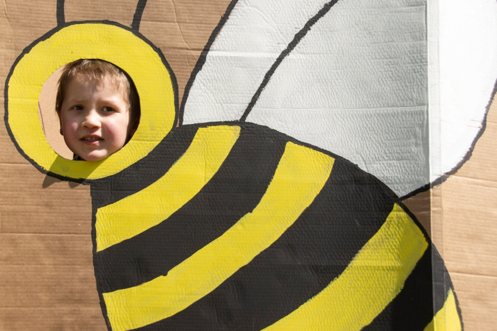 Światowy Dzień Pszczoły. Zwiedzali pasiekę, budowali ule
