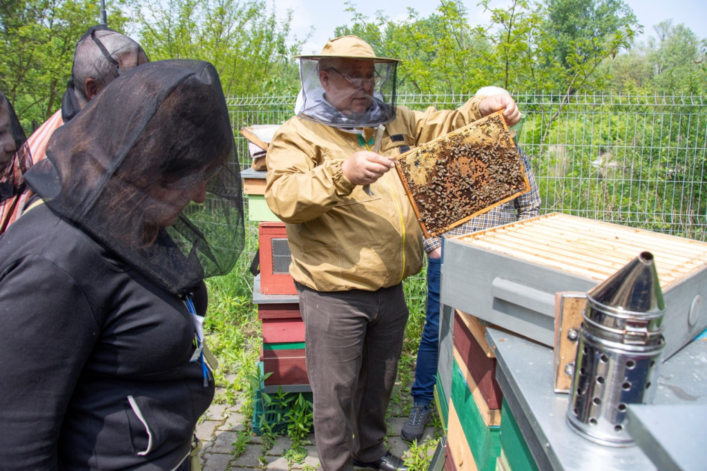 Światowy Dzień Pszczoły. Zwiedzali pasiekę, budowali ule