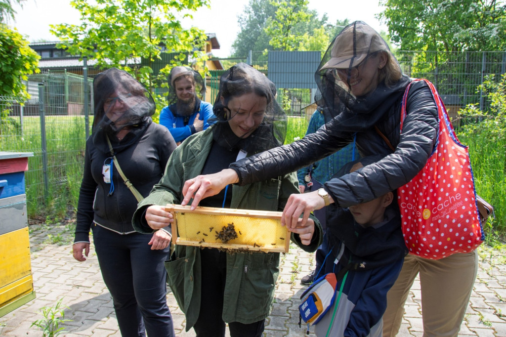 Światowy Dzień Pszczoły. Zwiedzali pasiekę, budowali ule