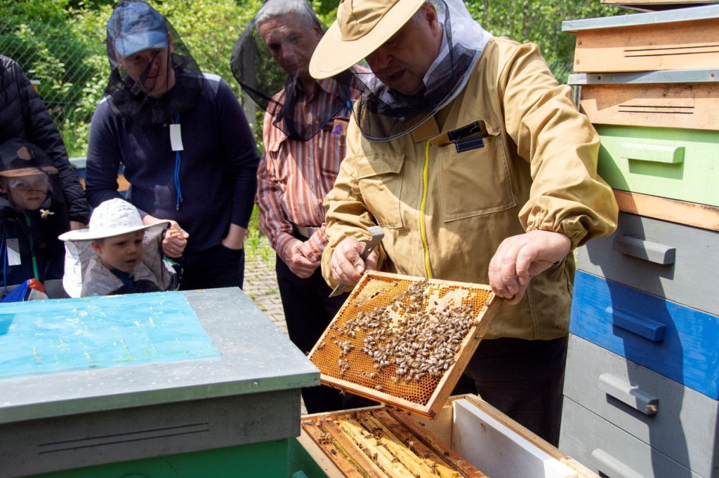 Światowy Dzień Pszczoły. Zwiedzali pasiekę, budowali ule