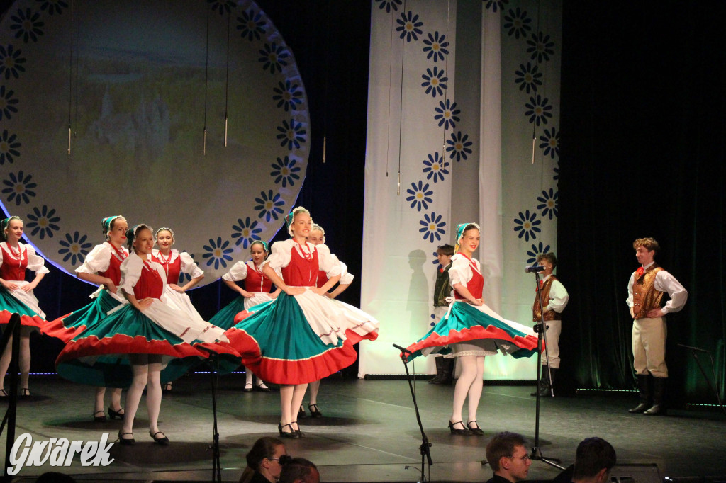 Radzionków. Mały Śląsk. Koncert grup dziecięcych i młodzieżowych