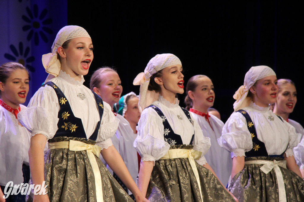 Radzionków. Mały Śląsk. Koncert grup dziecięcych i młodzieżowych