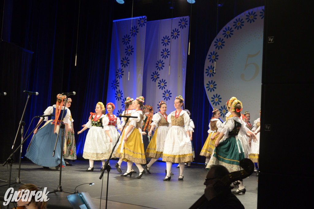 Radzionków. Gala Zespołu Pieśni i Tańca „Mały Śląsk”