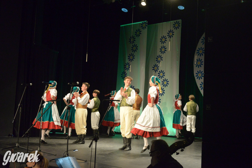 Radzionków. Gala Zespołu Pieśni i Tańca „Mały Śląsk”