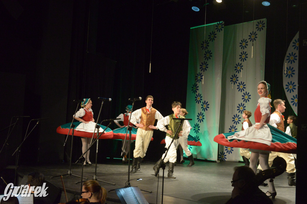 Radzionków. Gala Zespołu Pieśni i Tańca „Mały Śląsk”