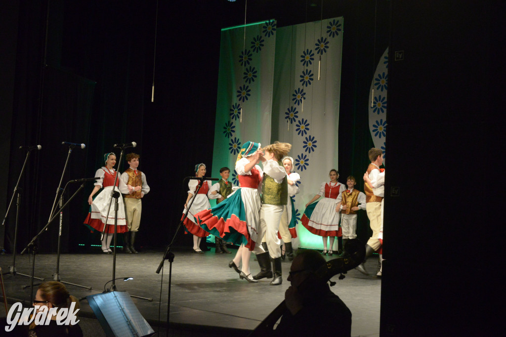 Radzionków. Gala Zespołu Pieśni i Tańca „Mały Śląsk”