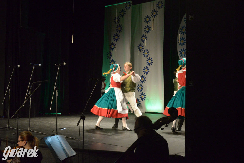 Radzionków. Gala Zespołu Pieśni i Tańca „Mały Śląsk”