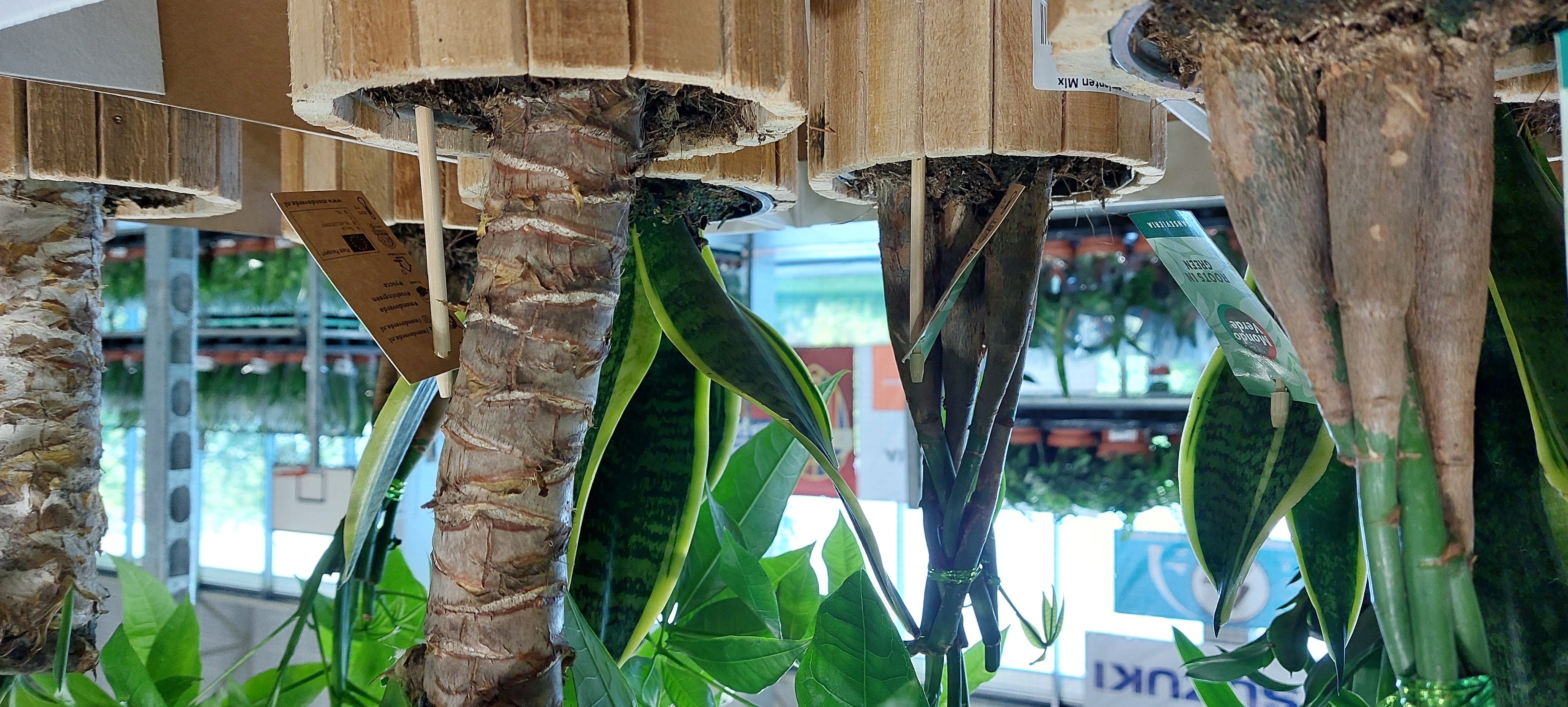 Bytom. Targi kwiatów