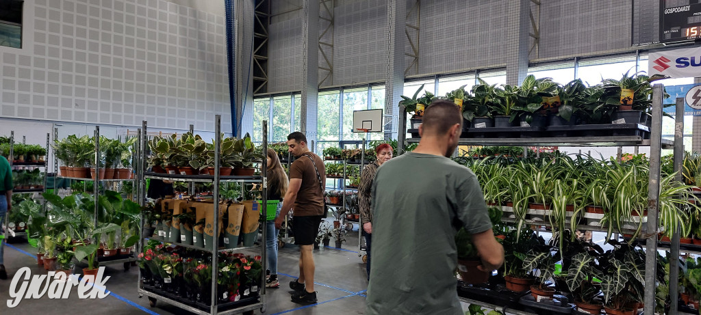 Bytom. Targi kwiatów