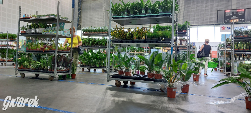 Bytom. Targi kwiatów