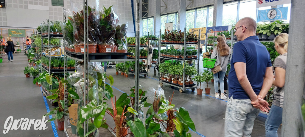 Bytom. Targi kwiatów