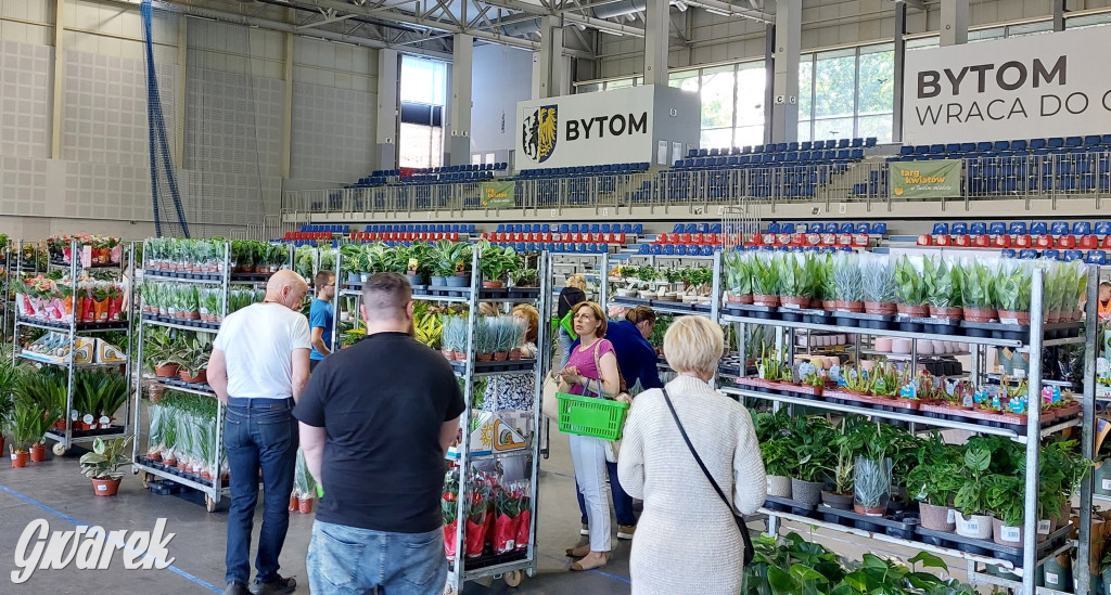 Bytom. Targi kwiatów