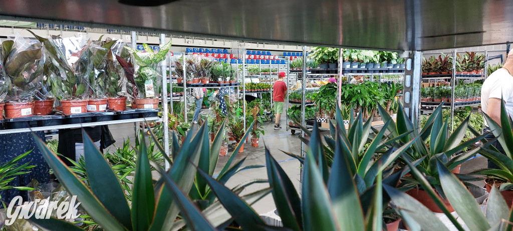 Bytom. Targi kwiatów