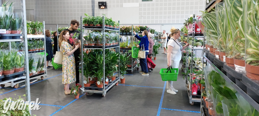 Bytom. Targi kwiatów