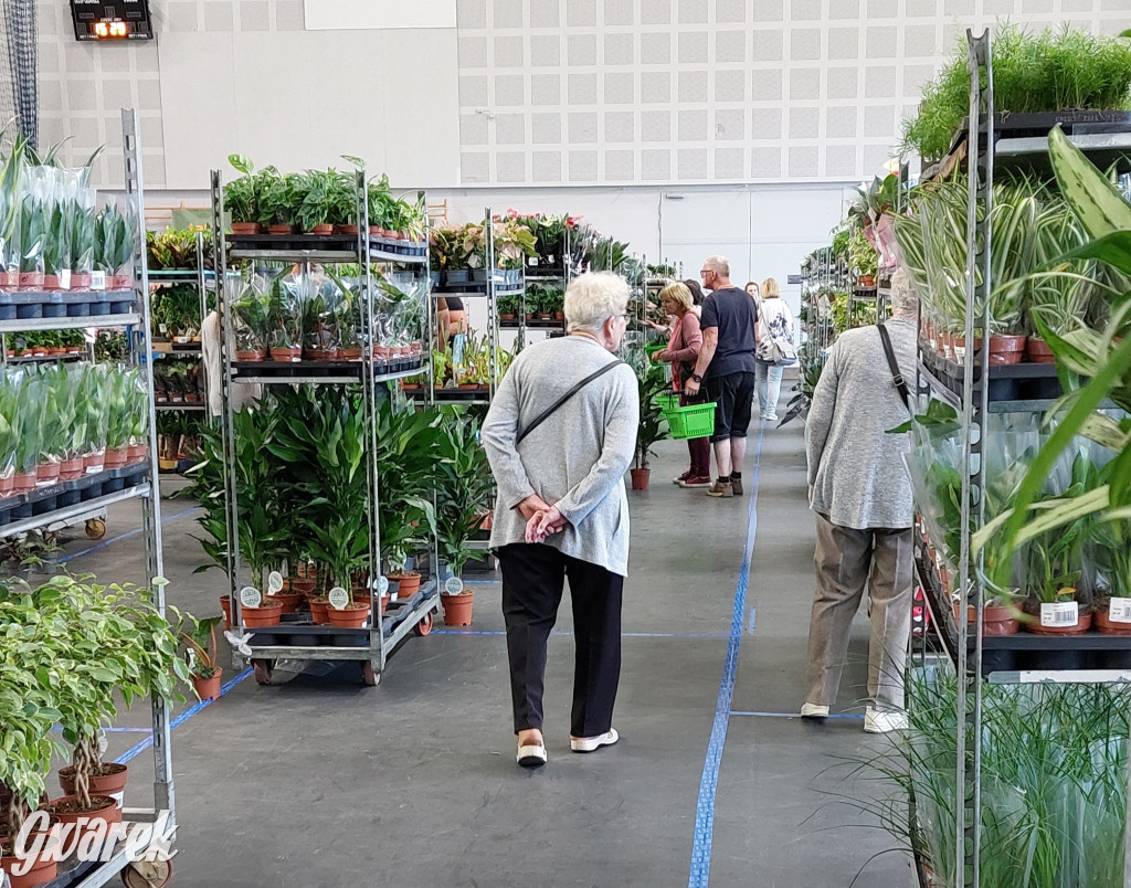 Bytom. Targi kwiatów