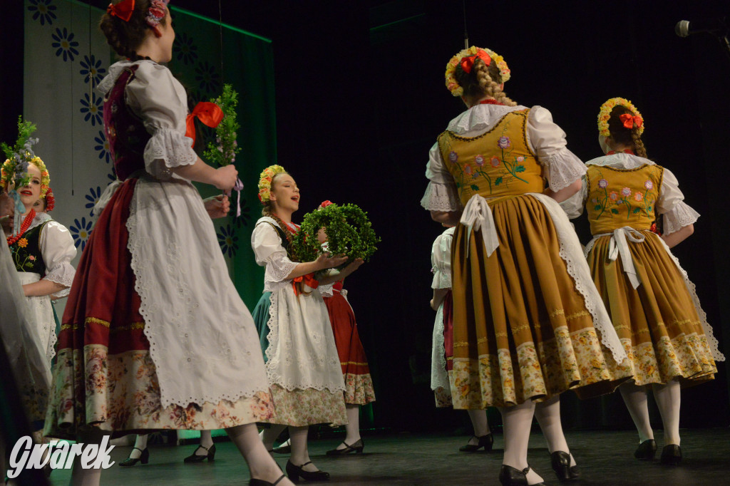 Radzionków. Gala Zespołu Pieśni i Tańca „Mały Śląsk”