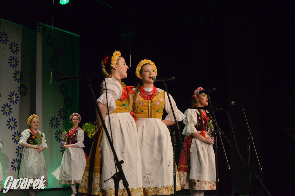 Radzionków. Gala Zespołu Pieśni i Tańca „Mały Śląsk”