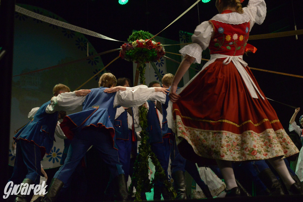 Radzionków. Gala Zespołu Pieśni i Tańca „Mały Śląsk”