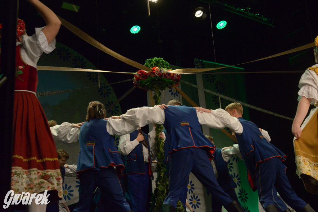 Radzionków. Gala Zespołu Pieśni i Tańca „Mały Śląsk”