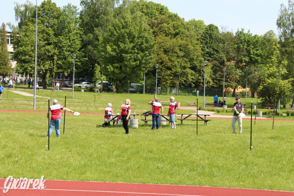 Radzionków. Piknik charytatywny na plantach w Rojcy