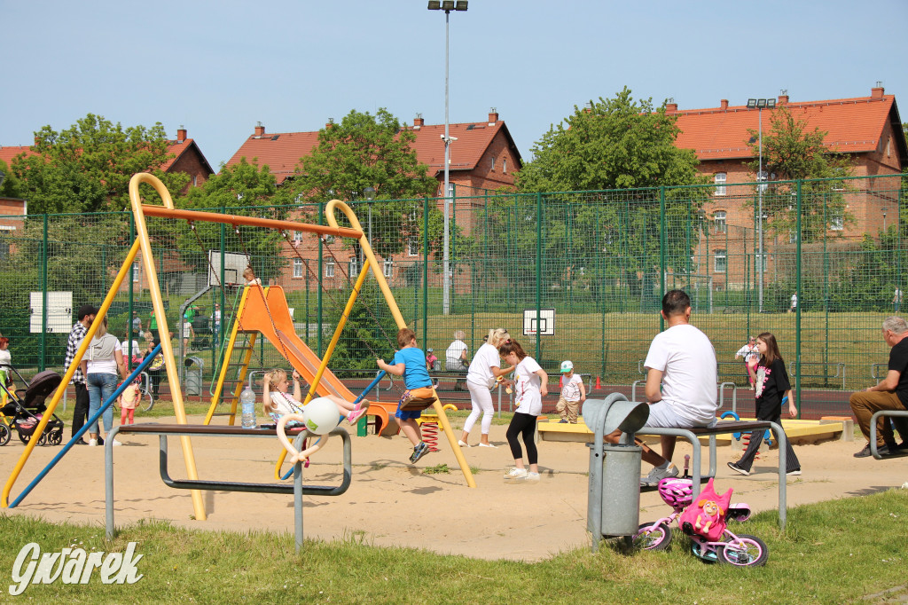 Radzionków. Piknik charytatywny na plantach w Rojcy
