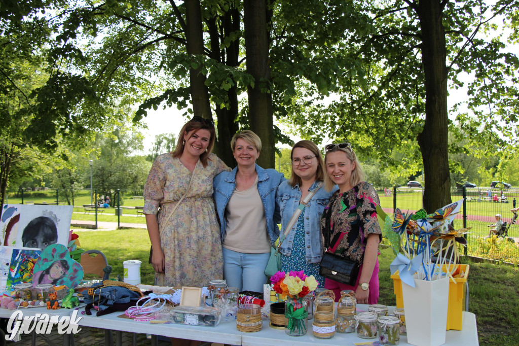 Radzionków. Piknik charytatywny na plantach w Rojcy