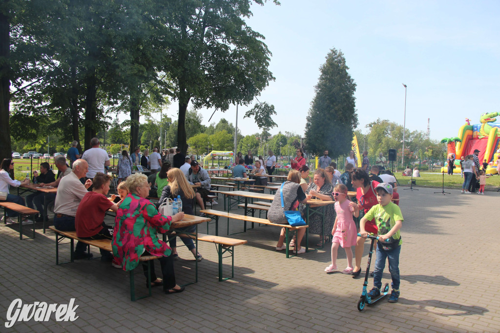 Radzionków. Piknik charytatywny na plantach w Rojcy
