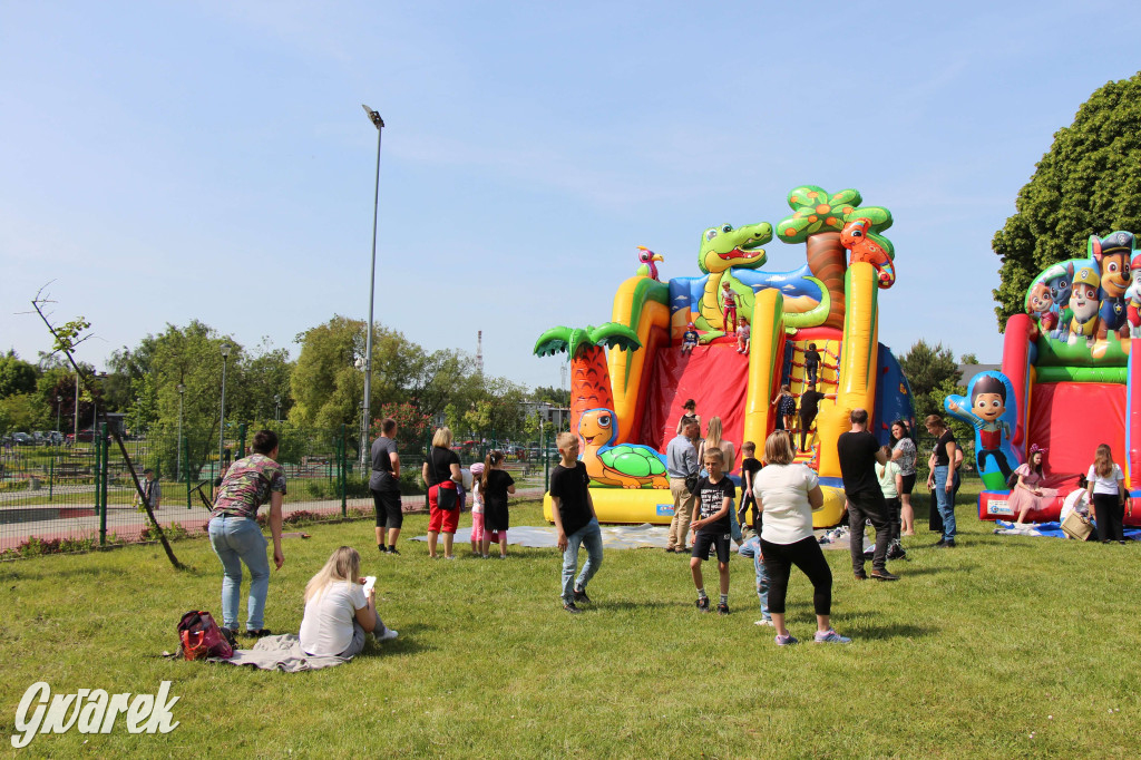 Radzionków. Piknik charytatywny na plantach w Rojcy