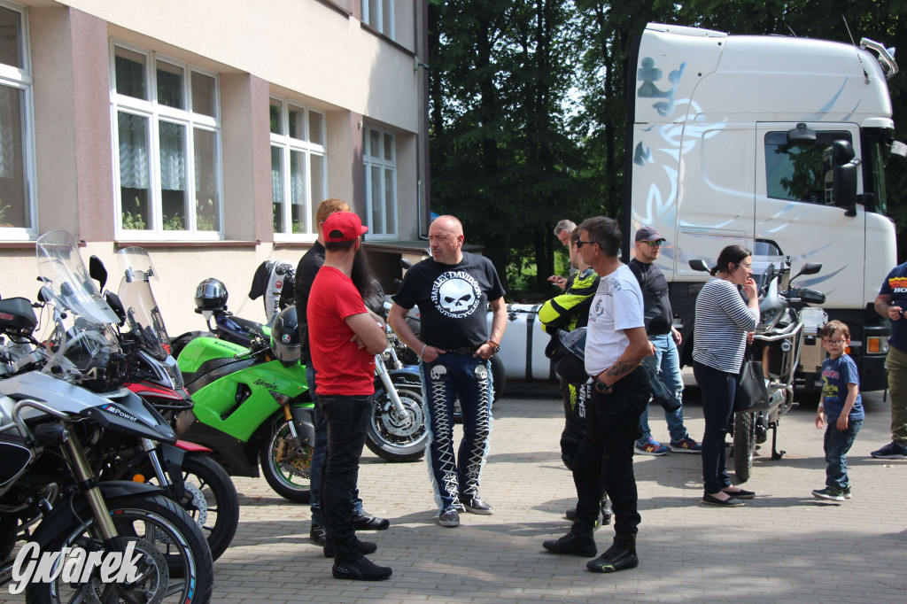 Radzionków. Piknik charytatywny na plantach w Rojcy