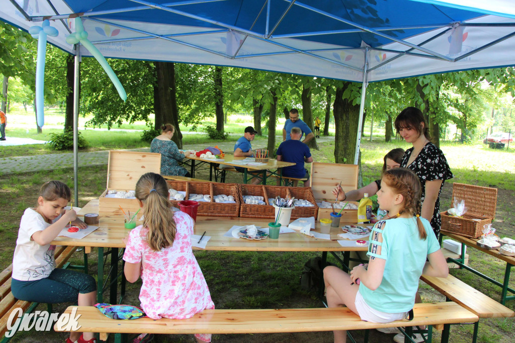 Radzionków. Piknik charytatywny na plantach w Rojcy