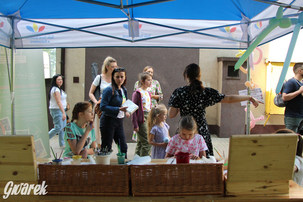 Radzionków. Piknik charytatywny na plantach w Rojcy