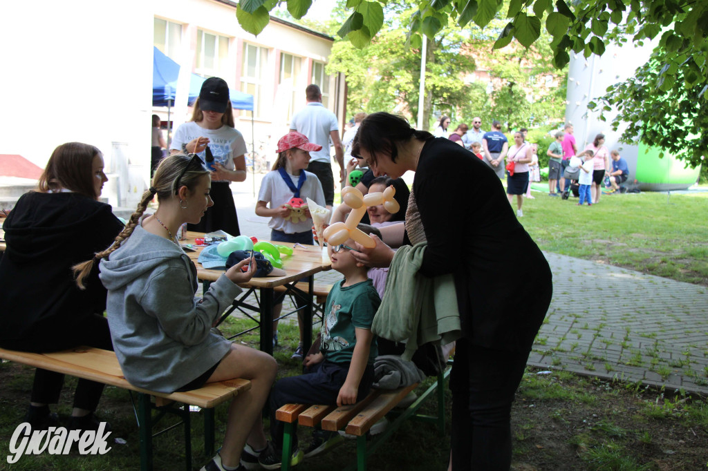 Radzionków. Piknik charytatywny na plantach w Rojcy
