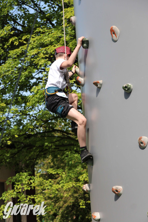 Radzionków. Piknik charytatywny na plantach w Rojcy