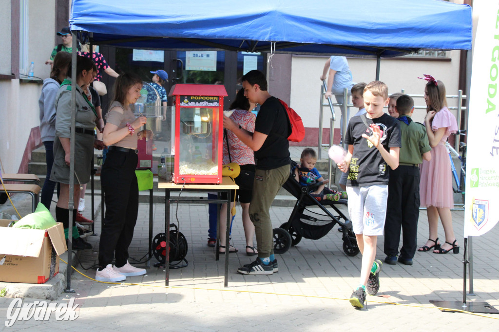 Radzionków. Piknik charytatywny na plantach w Rojcy