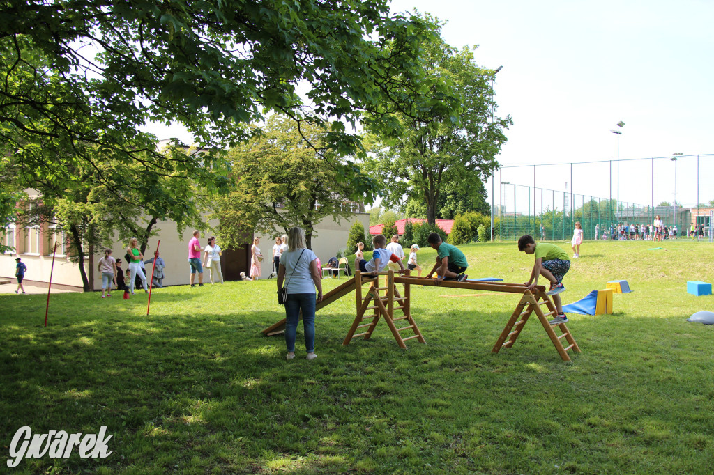 Radzionków. Piknik charytatywny na plantach w Rojcy