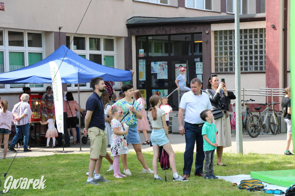 Radzionków. Piknik charytatywny na plantach w Rojcy
