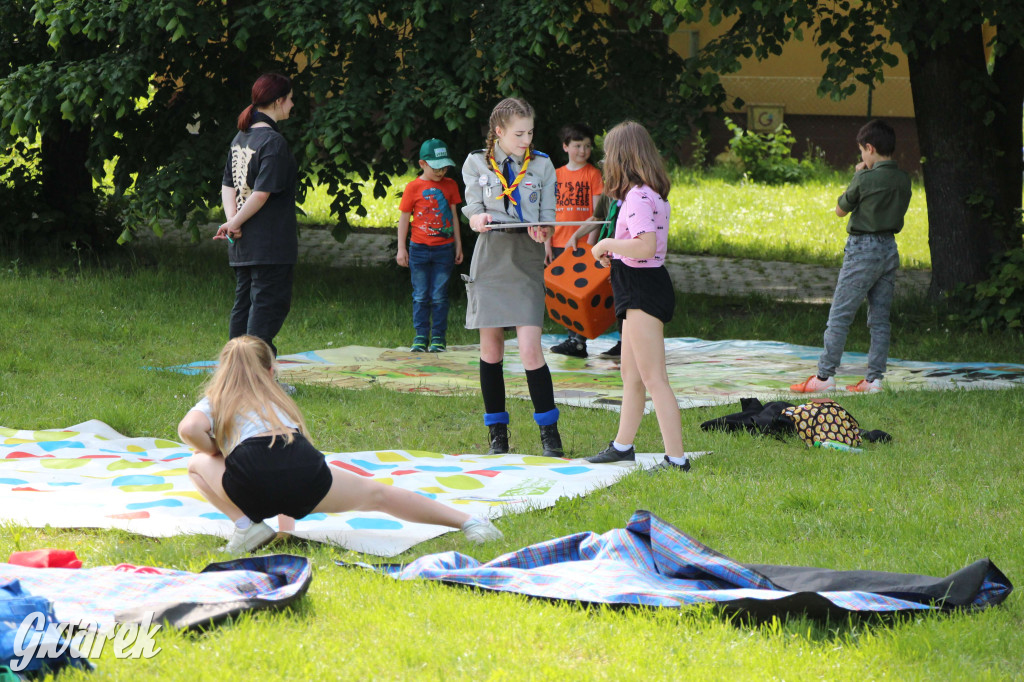 Radzionków. Piknik charytatywny na plantach w Rojcy