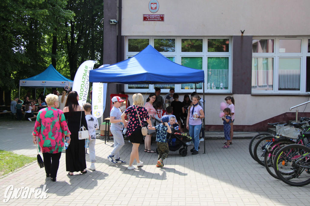 Radzionków. Piknik charytatywny na plantach w Rojcy