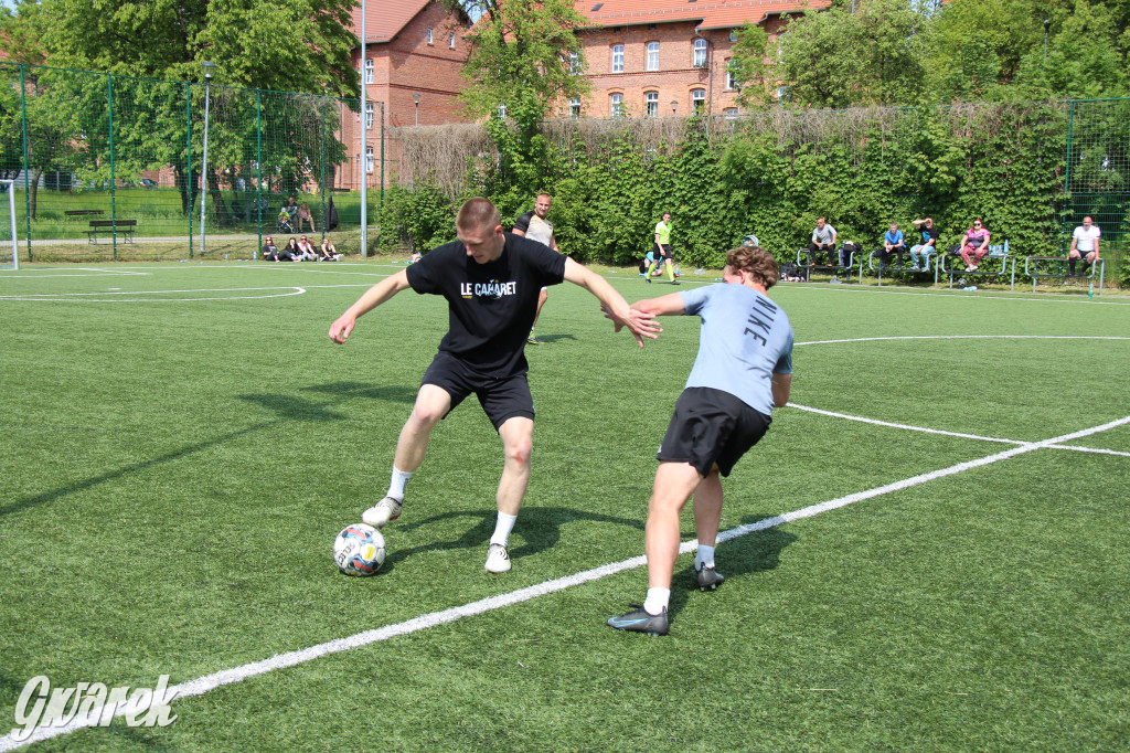 Radzionków. Piknik charytatywny na plantach w Rojcy