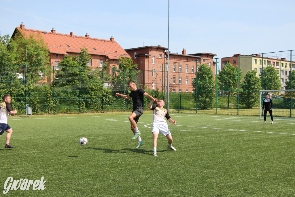Radzionków. Piknik charytatywny na plantach w Rojcy