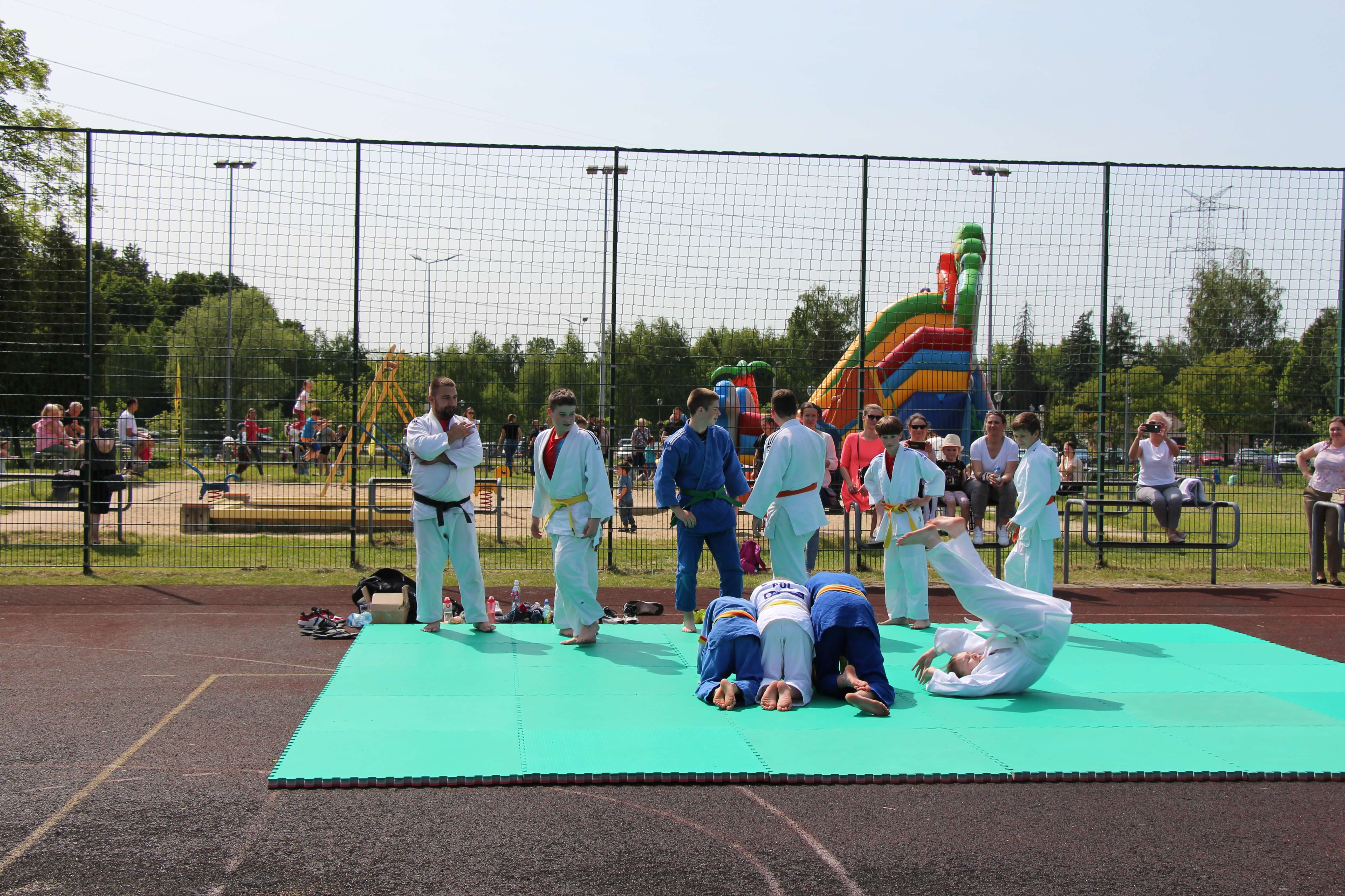 Radzionków. Piknik charytatywny na plantach w Rojcy