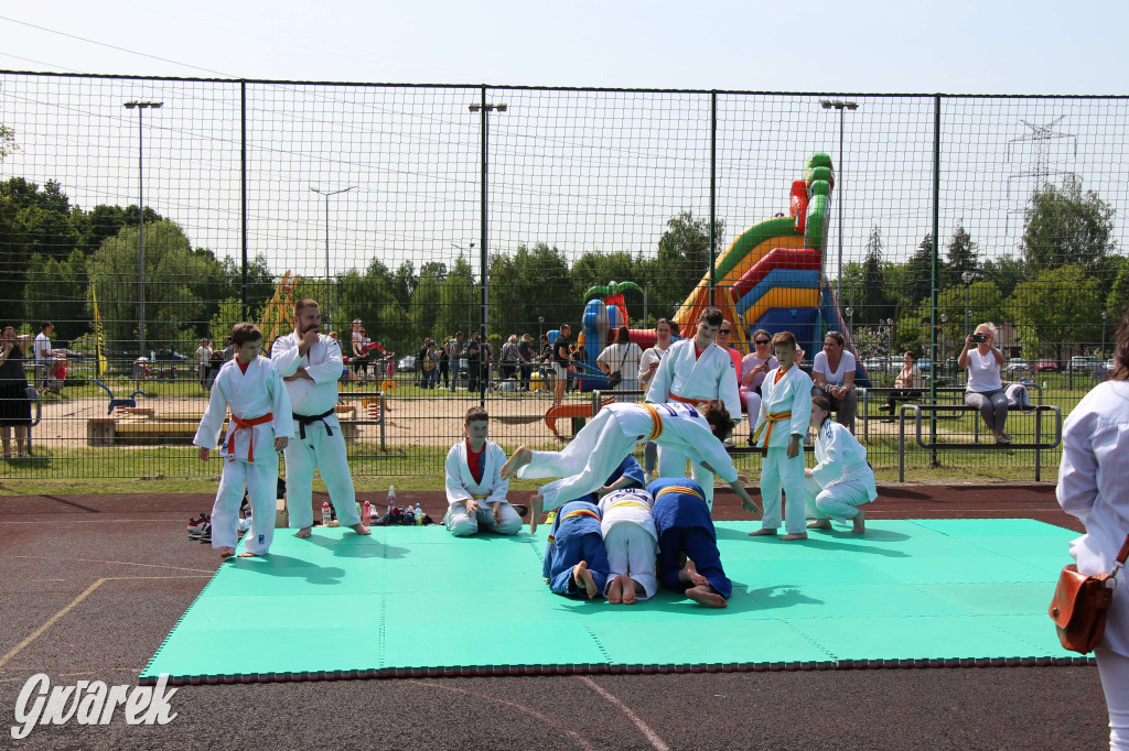 Radzionków. Piknik charytatywny na plantach w Rojcy