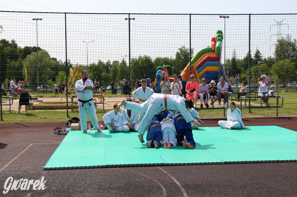 Radzionków. Piknik charytatywny na plantach w Rojcy